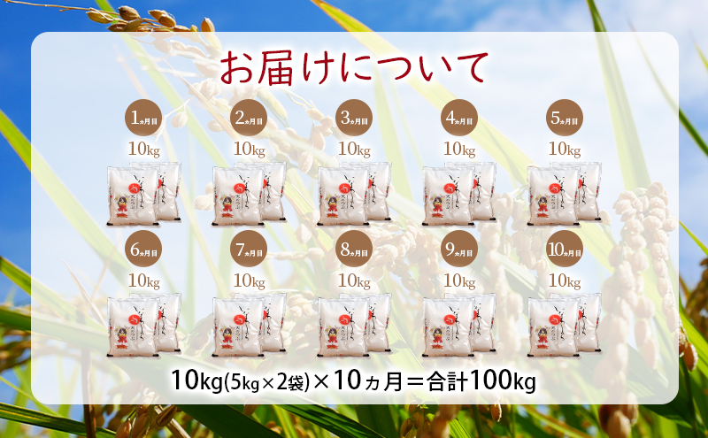 新米　定期便 【10ヵ月連続】猪苗代町ブランド米 いなわしろ天のつぶ 10kg 米 お米 精米 白米 福島 大粒 寿司 和食