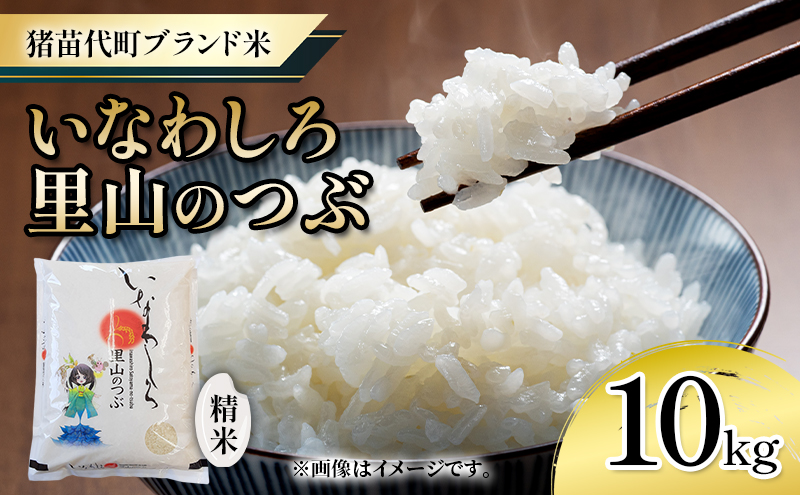 新米　猪苗代町ブランド米 いなわしろ里山のつぶ( 精米 ) 10kg お米 白米 福島 和食