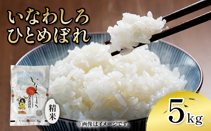 新米　いなわしろひとめぼれ( 精米 ) 5kg お米 白米 福島 やわらかい 和食