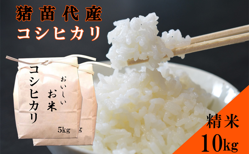 米 令和6年度産 新米 コシヒカリ 10kg  白米 精米 新米 生産者直送 直送