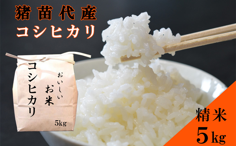 米 令和6年度産 コシヒカリ 5kg 白米 精米 生産者直送 直送