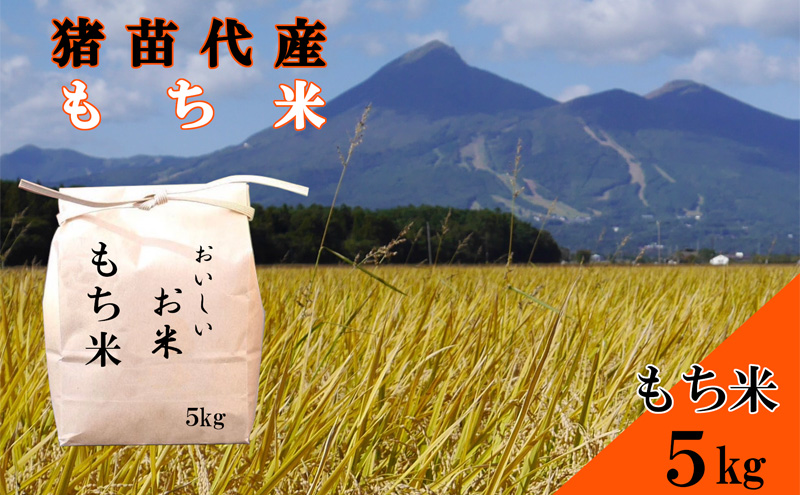 令和6年度産 もち米 5kg 餅 赤飯 おはぎ おこわ 雑煮 大福 あられ イベント 餅つき