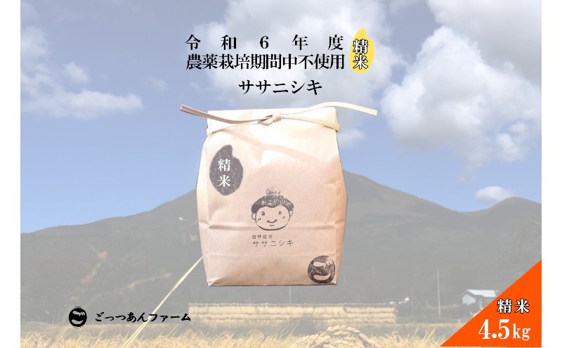 令和6年度産【どすこい米】自然栽培 ササニシキ 精米 4.5kg