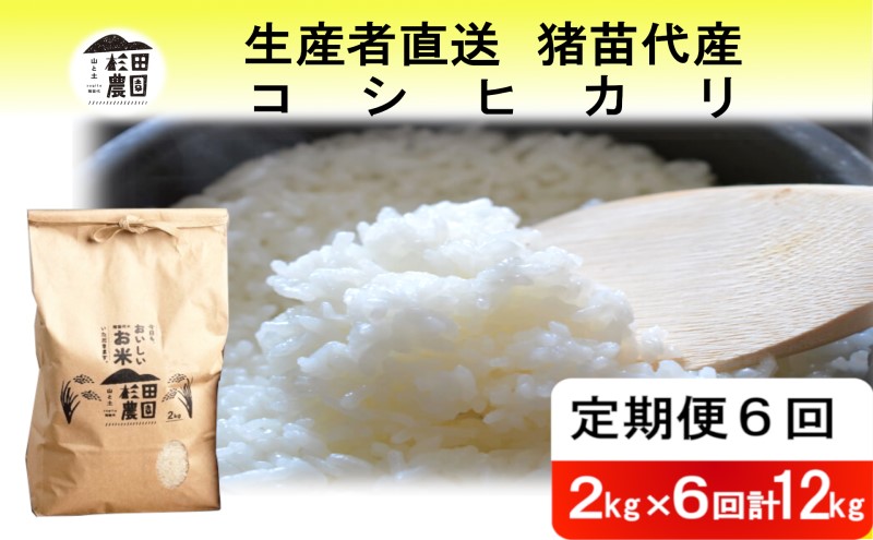 定期便 6回 米 令和6年度産 コシヒカリ 12kg(2kg×6回) 白米 精米 生産者直送 直送