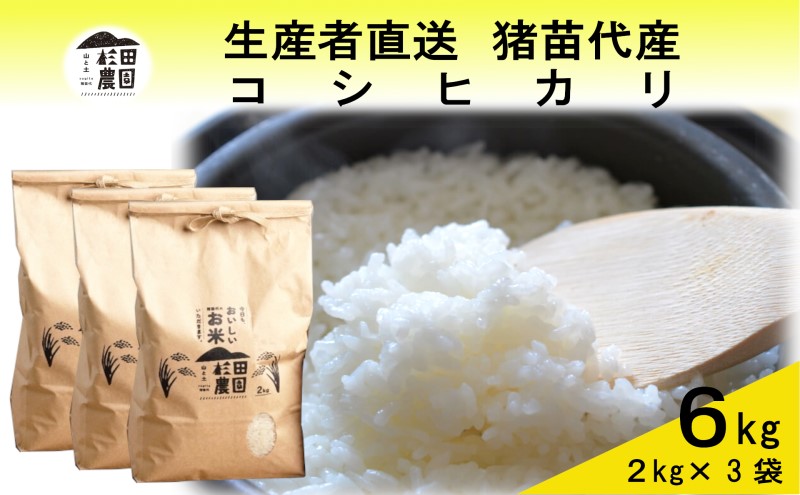 米 令和6年度産 コシヒカリ 6kg(2kg×3袋) 白米 精米 生産者直送 直送