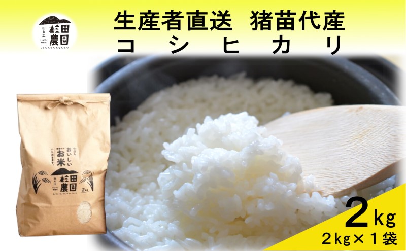 米 令和6年度産 新米 コシヒカリ 2kg 白米 精米 生産者直送 直送