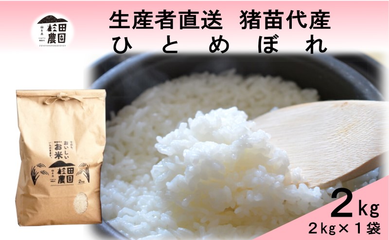 米 令和6年度産 新米 ひとめぼれ 2kg 白米 精米 生産者直送 直送