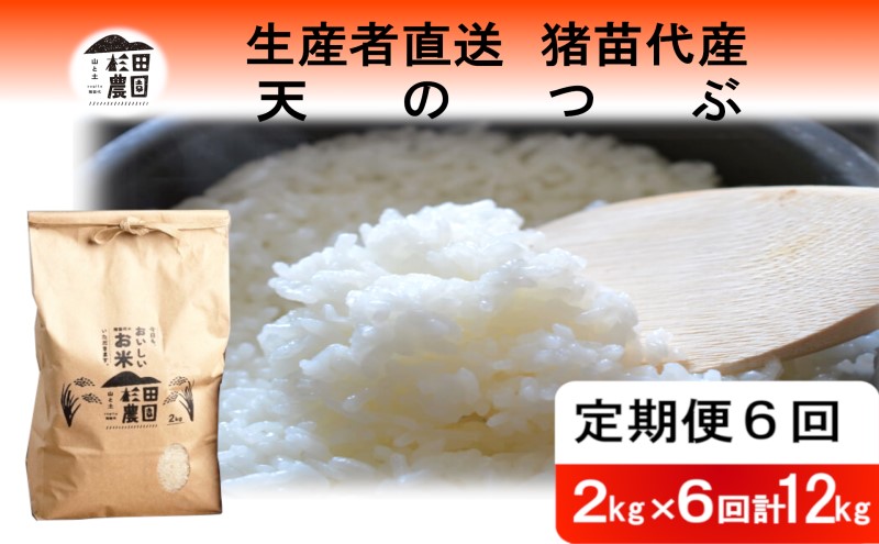 定期便 6回 米 令和6年度産 天のつぶ 12kg(2kg×6回) 白米 精米 生産者直送 直送