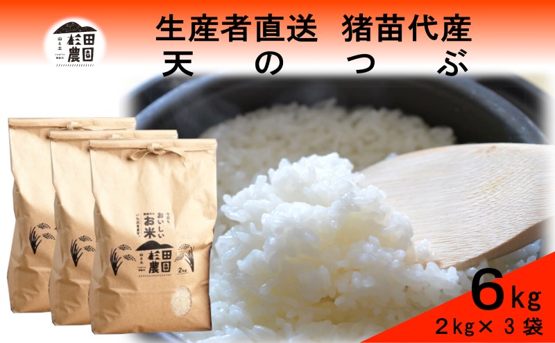 米 令和6年度産 新米 天のつぶ 6kg(2kg×3袋) 白米 精米 生産者直送 直送