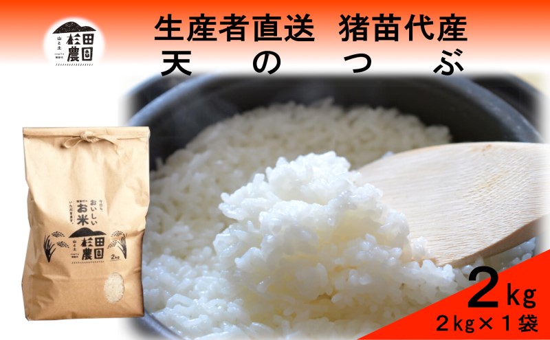 米 令和6年度産 新米 天のつぶ 2kg 白米 精米 生産者直送 直送