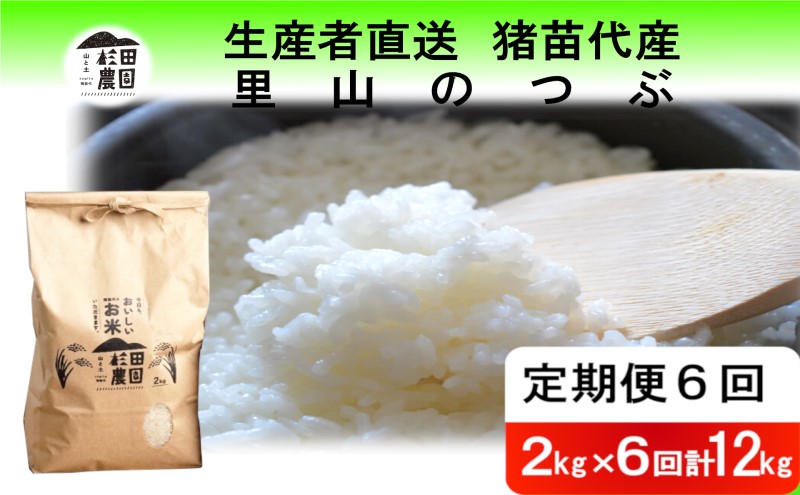 定期便 6回 米 令和6年度産 里山のつぶ 12kg(2kg×6回) 白米 精米 生産者直送 直送