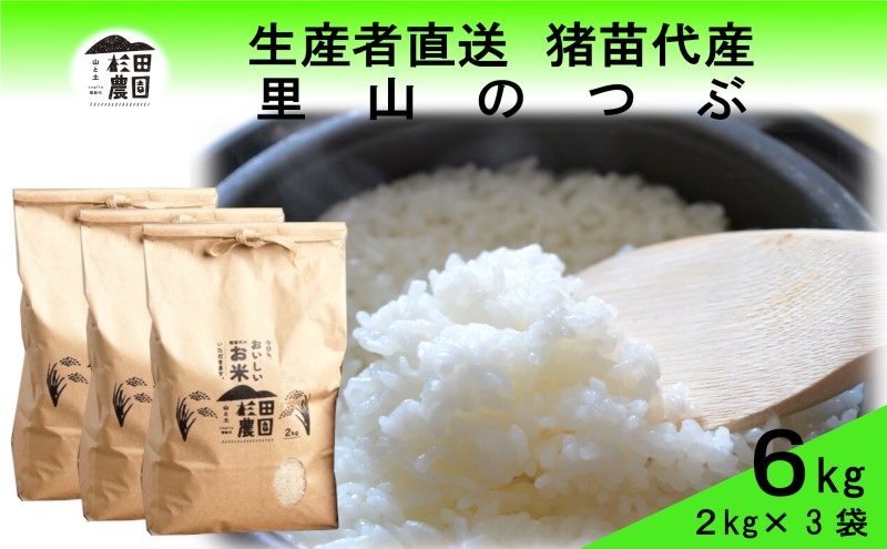 米 令和6年度産 新米 里山のつぶ 6kg(2kg×3袋) 白米 精米 生産者直送 直送