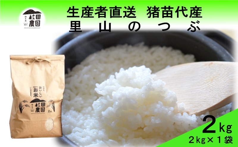 米 令和6年度産 里山のつぶ 2kg 白米 精米 生産者直送 直送