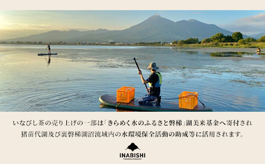 【全12回定期便】ひし茶 50パック（お徳用） 猪苗代湖産 ヒシ茶 ティーバッグ 国産 茶 福島 菱の実100%使用 | 美容 健康 美肌 ポリフェノール 抗酸化作用 ビタミン 人気 福島県 猪苗代 ※沖縄・離島への配送不可