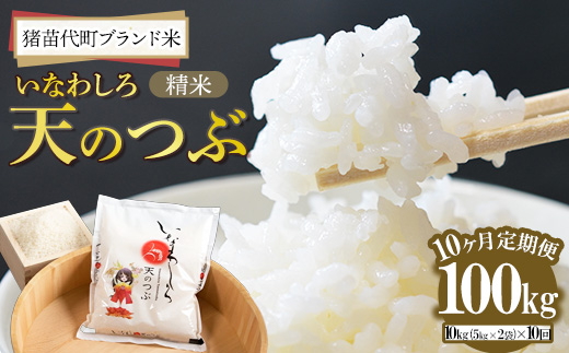 定期便 【10ヵ月連続】令和7年産 猪苗代町ブランド米 いなわしろ天のつぶ 10kg ｜ 米 お米 精米 白米 福島 大粒 寿司 和食