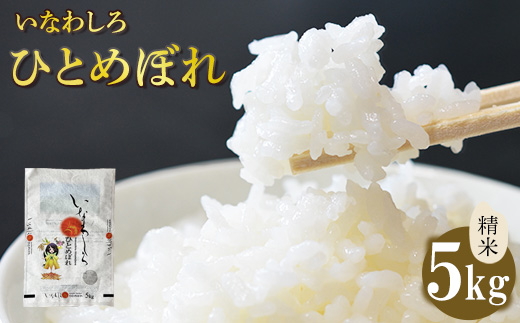 令和7年産 いなわしろひとめぼれ( 精米 ) 5kg ｜ お米 白米 福島 やわらかい 和食