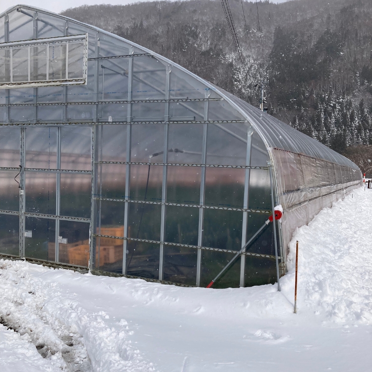 ごはんのお供セット 軟白ねぎのねぎ味噌とねぎ味噌にんにく ※沖縄・離島への配送不可