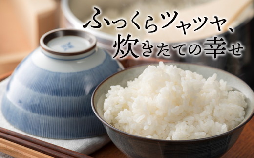 令和7年産 猪苗代町ブランド米 いなわしろ里山のつぶ( 精米 ) 2kg 新米 ｜ お米 白米 福島 和食