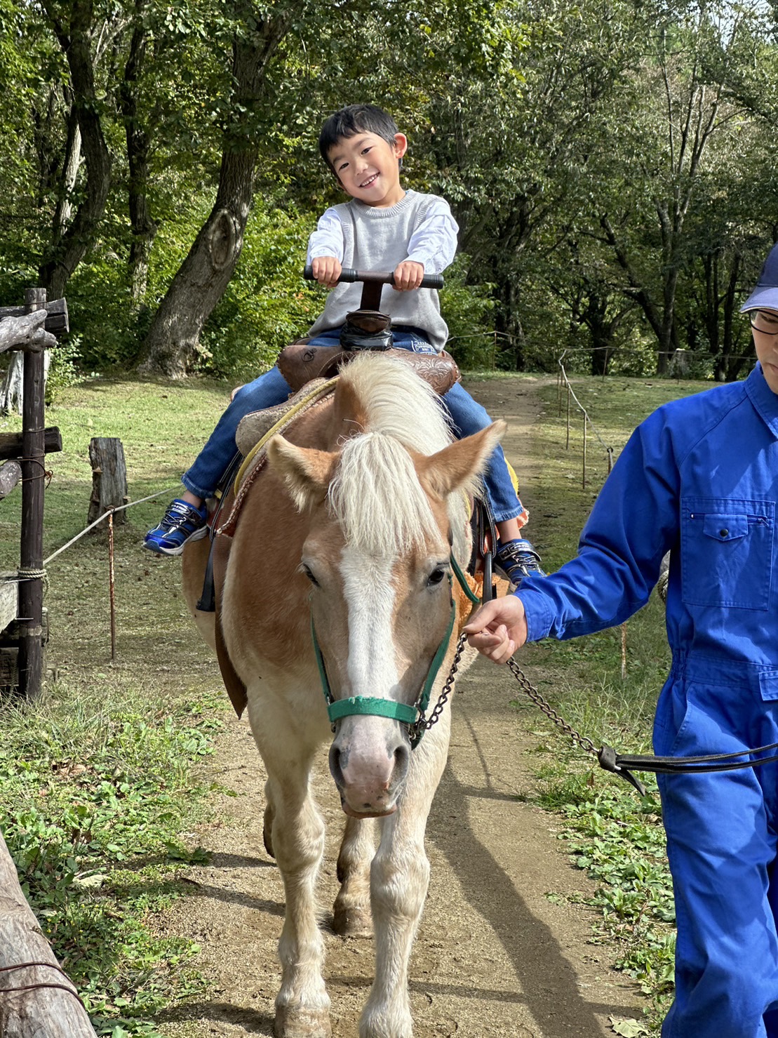 ç£æ¢¯é«ååã¶äžç§å Ž ç§å Žäœéšãã±ããïŒ6,000ååïŒ