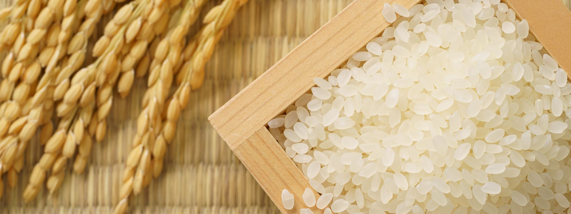 田舎もち 切り餅 400g×8袋