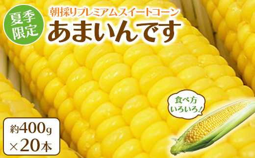 【先行予約】夏季限定 朝採り プレミアムスイートコーン 「あまいんです」 20本 約8kg | 激甘 フルーツとうもろこし 産地直送 ※2026年8月～発送