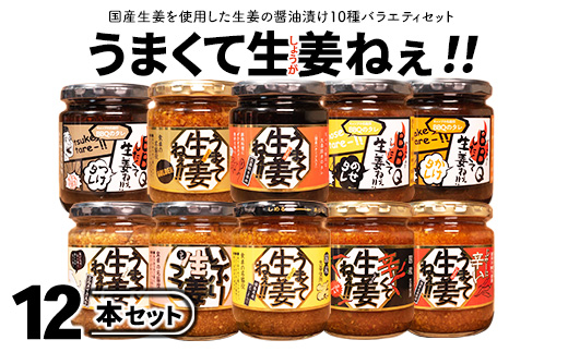 うまくて生姜ねぇシリーズバラエティセット12本 【しょうが 国産 醤油漬け ごはんのお供 お弁当 調味料 おつまみ 肴 薬味 隠し味 猪苗代町 福島県】
