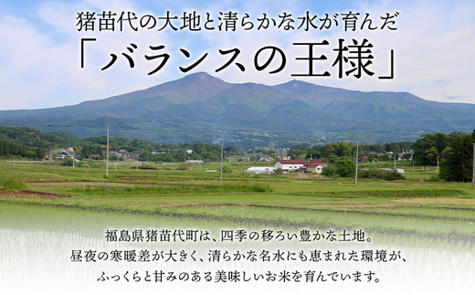 令和7年産 猪苗代町ブランド米 いなわしろ天のつぶ( 精米 ) 5kg 新米 ｜ お米 白米 福島 大粒 寿司 和食