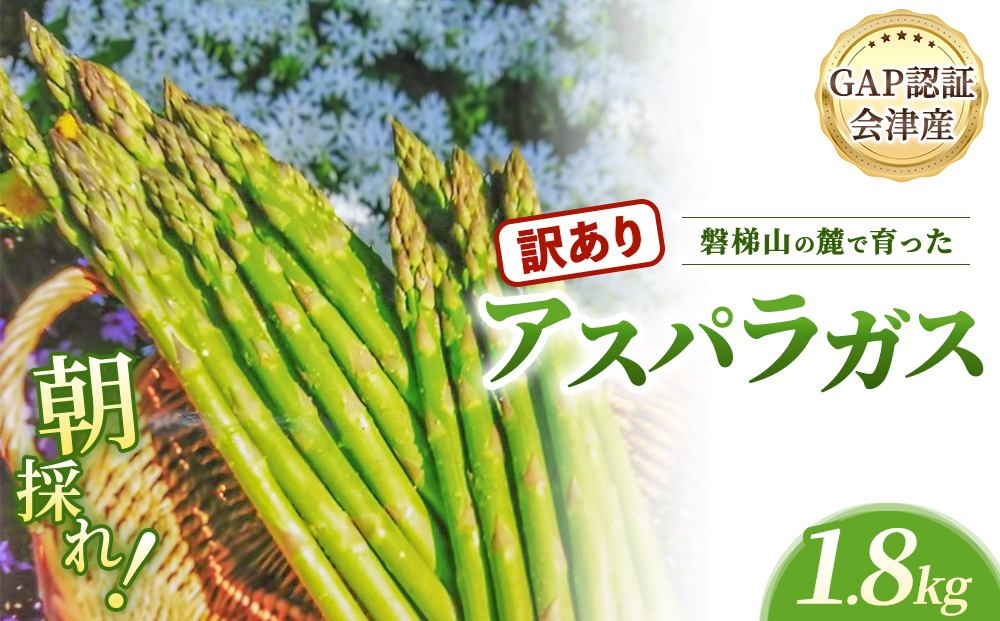 【朝採れ 当日発送】＜訳あり＞ アスパラガス 1.8kg | 家庭用 規格外 甘い 生産者直送 産地直送 野菜 はんざわエコファーム 猪苗代産 ※2026年4月中旬～10月中旬頃に順次発送予定 ※沖縄・離島への配送不可