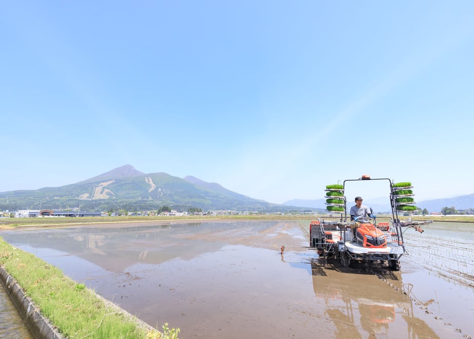 田舎もち 切り餅 400g×8袋