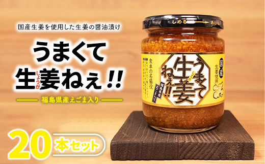 うまくて生姜ねぇ!!20本セット 【しょうが 国産 醤油漬け ごはんのお供 お弁当 調味料 おつまみ 肴 薬味 隠し味 猪苗代町 福島県】