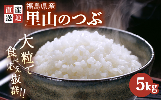 令和7年産 新米 里山のつぶ 5kg ｜ 白米 精米 生産者直送 産地直送 猪苗代産 はんざわエコファーム ※沖縄・離島への配送不可