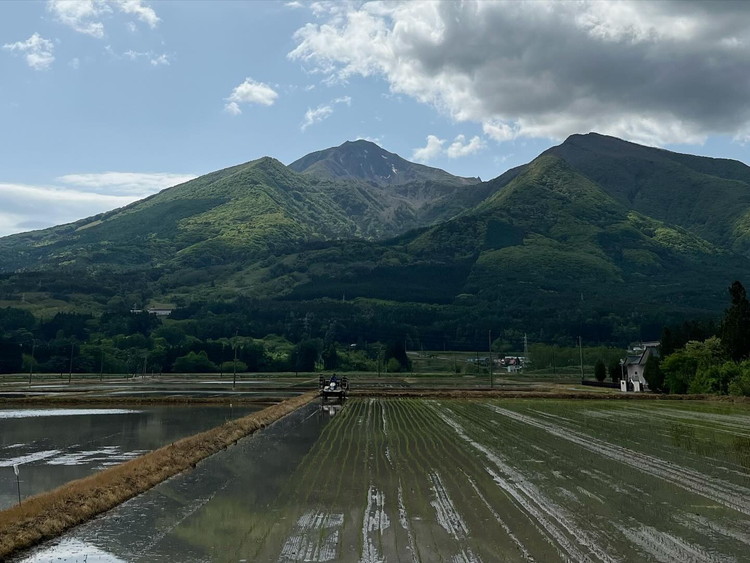 【定期便 6回】【令和7年度産 新米予約】 米 里山のつぶ 12kg(2kg×6回) 白米 精米 ※2025年11月下旬頃より順次発送予定 ※沖縄・離島への配送不可