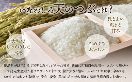 令和7年産 猪苗代町ブランド米 いなわしろ天のつぶ( 精米 ) 5kg 新米 ｜ お米 白米 福島 大粒 寿司 和食