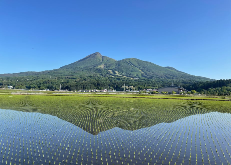 逕ー闊弱b縺。 蛻繧企、 400gテ4陲 窶サ髮「蟲カ縺ク縺ョ驟埼∽ク榊庄