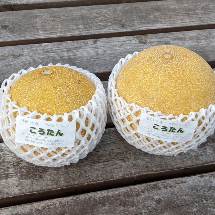 ころたん メロン プリン 5個入 ｜ 冷凍 洋菓子 冷凍 スイーツ デザート お菓子 ※沖縄・離島への配送不可