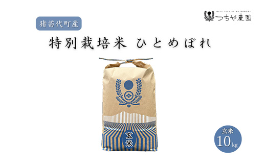【令和7年度産】 つちや農園 猪苗代町産 玄米 特別栽培米ひとめぼれ 10kg（玄米）| お米 米 ひとめぼれ