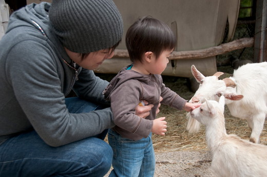 磐梯高原南ヶ丘牧場 ふるさと応援券（3000円分）