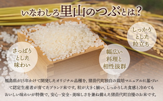 令和7年産 猪苗代町ブランド米 いなわしろ里山のつぶ( 精米 ) 2kg 新米 ｜ お米 白米 福島 和食