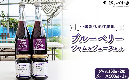 [2025年先行予約］ブルーベリー ブルーベリージャム＆ブルーベリージュースセット ミネラル栽培 中嶋農法 稲苗代町産 自家製栽培 セット ※2025年9月中旬頃より順次発送予定