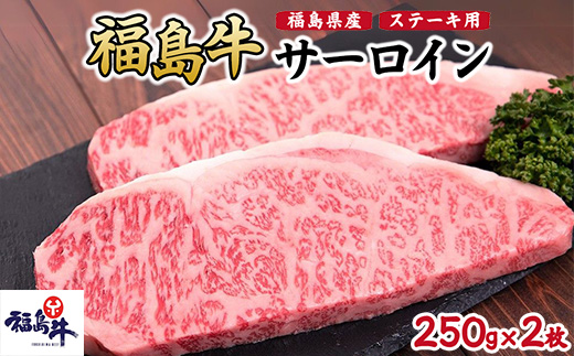 福島県産福島牛サーロインステーキ用 500g(250g×2枚)