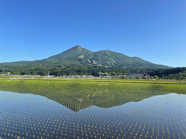 ã什å7å¹ŽåºŠç£ æ°ç±³äºçŽããæ°ééå®ãã6ãµæå®æäŸ¿ãæ¥æ¬äžã®ãç±³ ããã ã21 6åÃ2kg èš12kg çªè代çºç£ çœç±³ 2kg 第26åç±³ã»é£å³åæéå®ã³ã³ã¯ãŒã«åœéå€§äŒ éè³ æ¥æ¬äžç²åŸ 6ãæé£ç¶ â»2025幎10æäžæ¬é ããé æ¬¡çºéäºå® â»é¢å³¶ãžã®é
éäžå¯