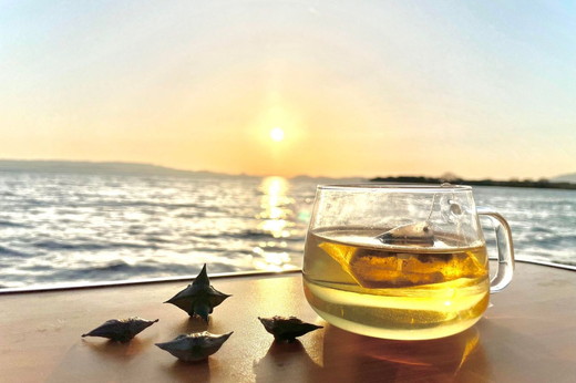 【先行予約】猪苗代湖産 ひし茶 (贈答用) 3パック ティーバッグ 贈答用 茶 福島 【令和7度産 新茶 2025年12月上旬発送開始】