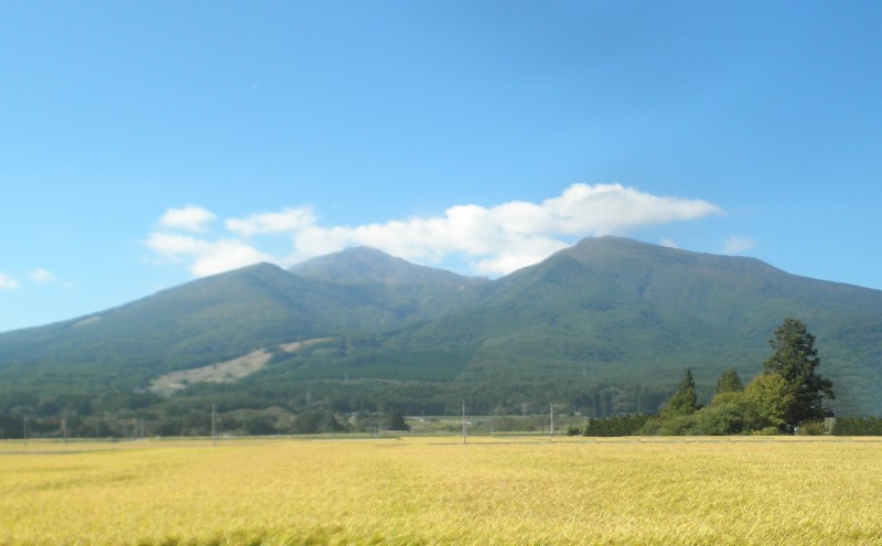 ã什å7幎床ç£ã ç±³ éå±±ã®ã€ã¶ 2kg çœç±³ 粟米 â»æ²çžã»é¢å³¶ãžã®é
éäžå¯