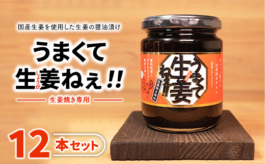 うまくて生姜ねぇ!!生姜焼き専用12本セット 【しょうが 国産 醤油漬け しょうが焼き タレ ごはんのお供 調味料 薬味 隠し味 猪苗代町 福島県】