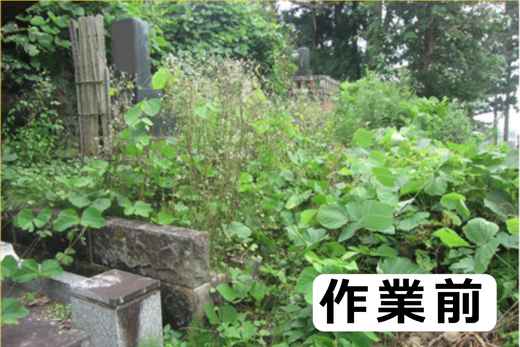 縺雁「灘盾繧翫サ縺頑祉髯、莉」陦後励Ξ繝溘い繝繝励Λ繝ウ