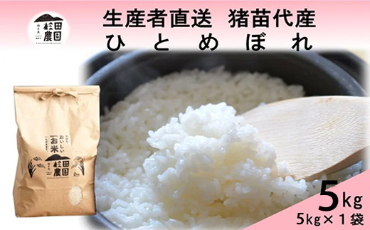 【令和7年度産 新米予約】 米 ひとめぼれ 5kg 白米 精米 ※2025年11月下旬頃より順次発送予定 ※沖縄・離島への配送不可