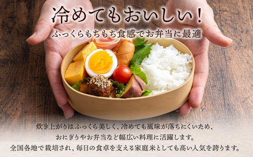 令和7年産 猪苗代町ブランド米 いなわしろ里山のつぶ( 精米 ) 2kg 新米 ｜ お米 白米 福島 和食