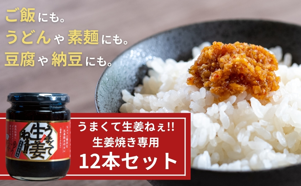 うまくて生姜ねぇ!!生姜焼き専用12本セット 【しょうが 国産 醤油漬け しょうが焼き タレ ごはんのお供 調味料 薬味 隠し味 猪苗代町 福島県】