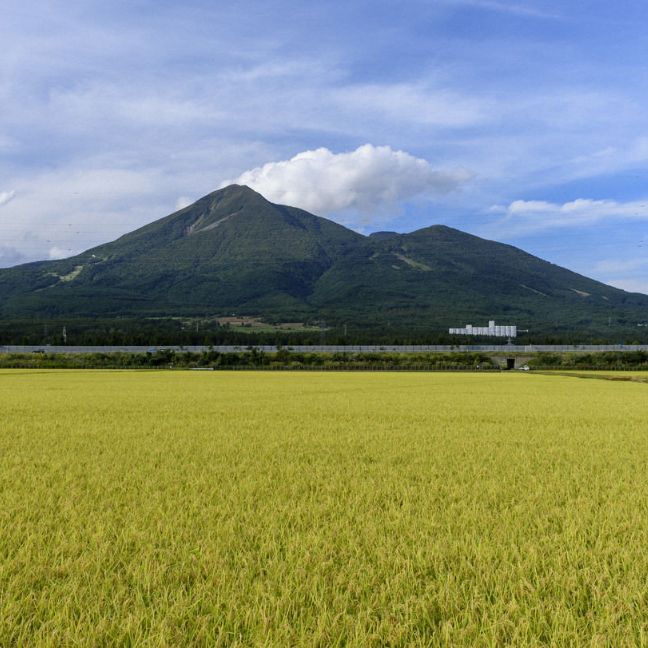 田舎もち 切り餅 400g×12袋