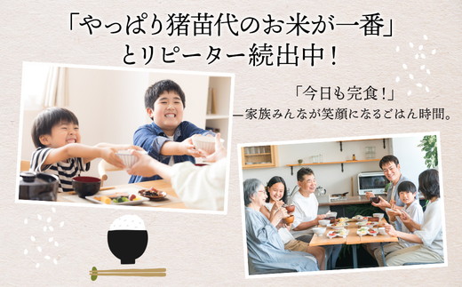 莉、蜥7蟷エ逕」 迪ェ闍嶺サ」逕コ繝悶Λ繝ウ繝臥アウ 縺縺ェ繧上@繧榊、ゥ縺ョ縺、縺カ( 邊セ邀ウ ) 10kg ス 縺顔アウ 逋ス邀ウ 遖丞ウカ 螟ァ邊 蟇ソ蜿ク 蜥碁」